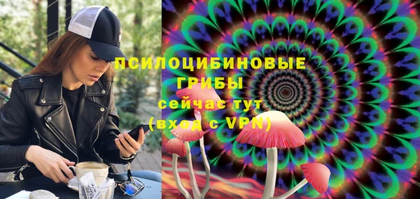 шишки Алзамай